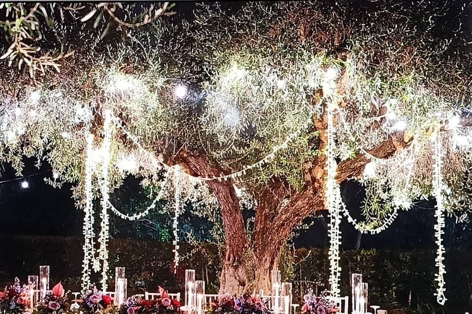 Decoro alberi