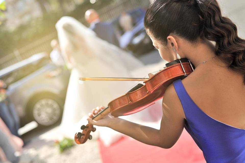Carmen Desirée Amato Violinista