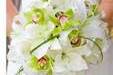 Bouquet cymbidium