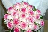 Bouquet rose sfumate