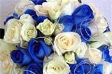 Bouquet rose bianch e blu