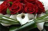 Rose rosse e calle