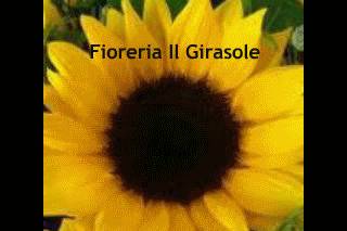 Fioreria Il Girasole