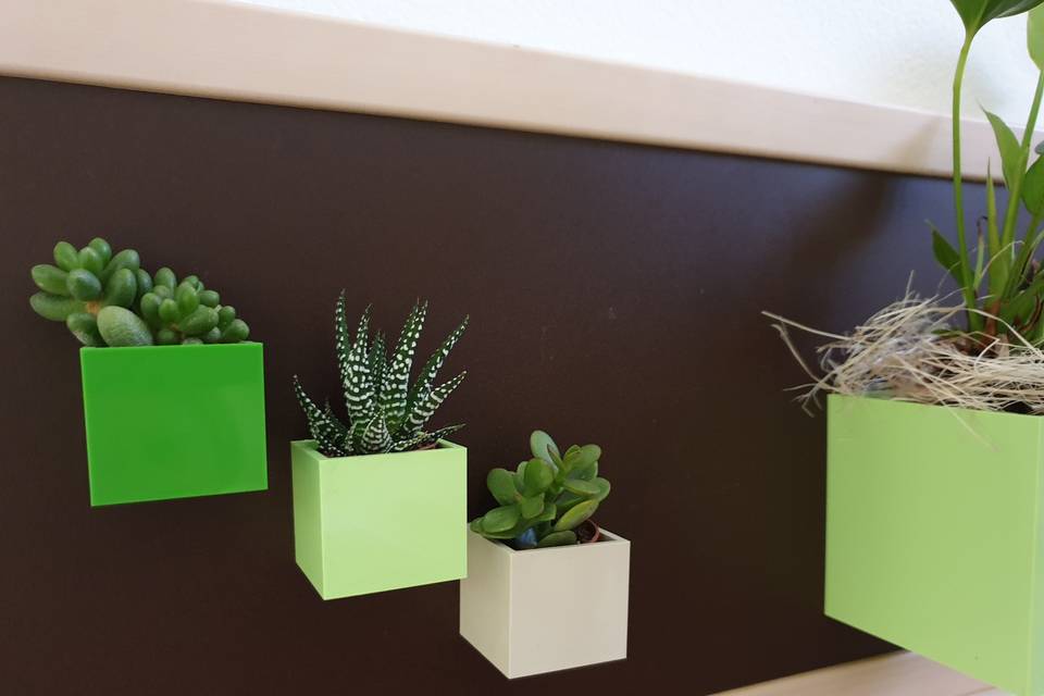 Lavagna con succulente magnet