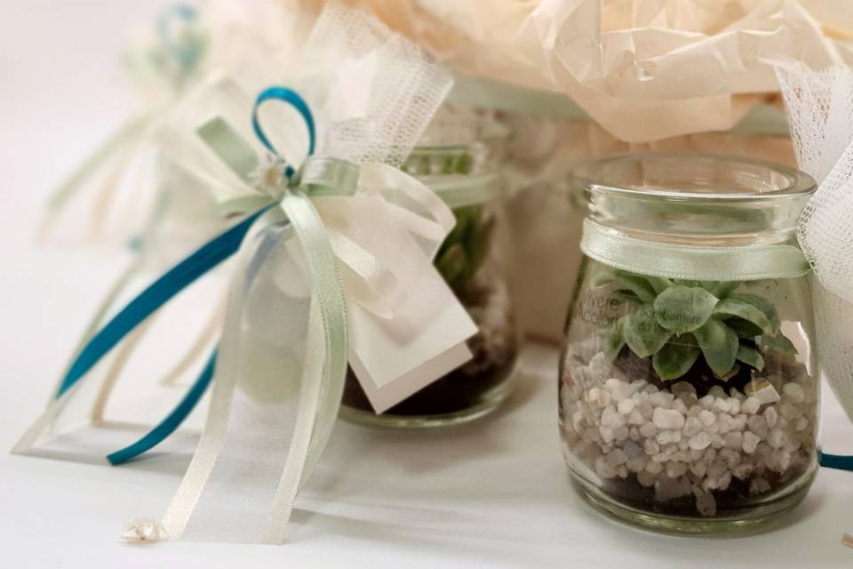 Mini terrarium col. acqua
