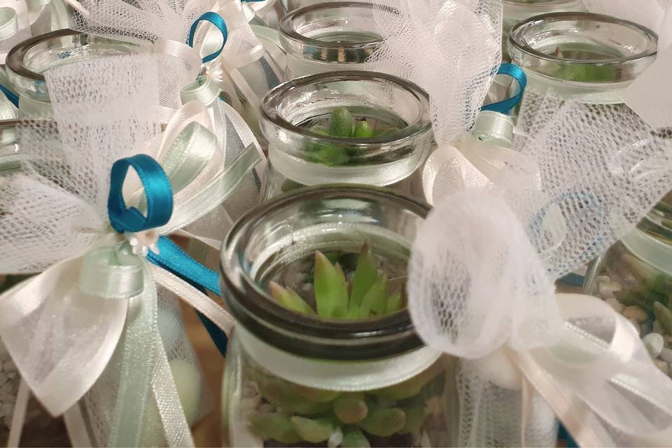 Gruppo mini terrarium
