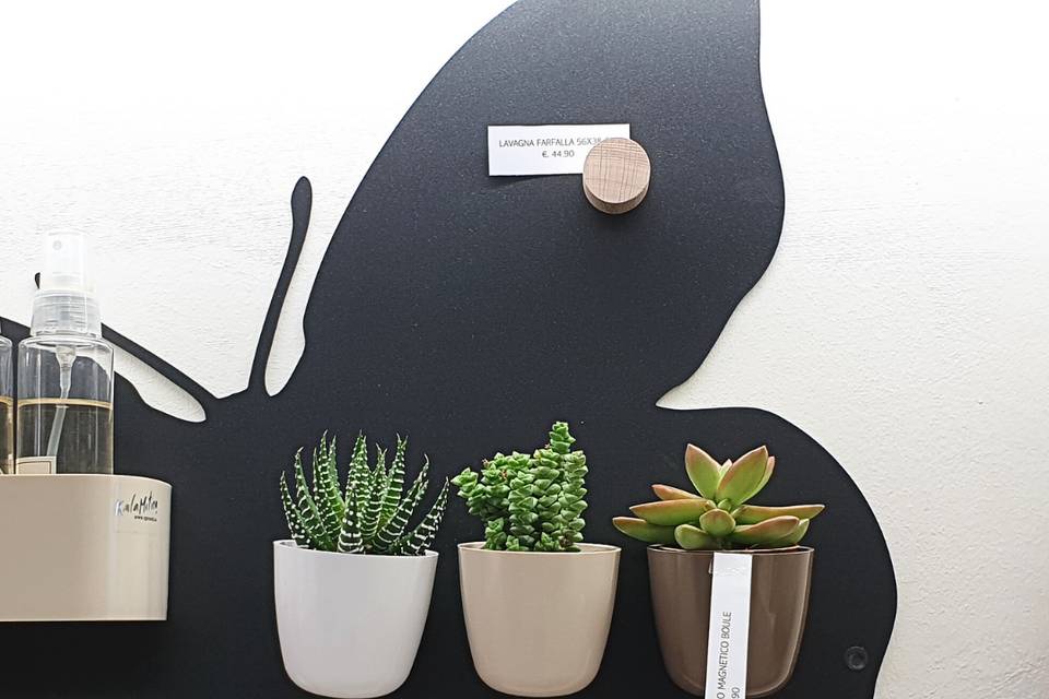 Lavagna con succulente magnet