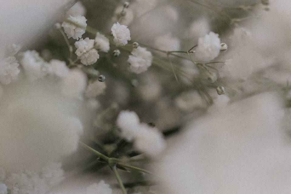 Flower details