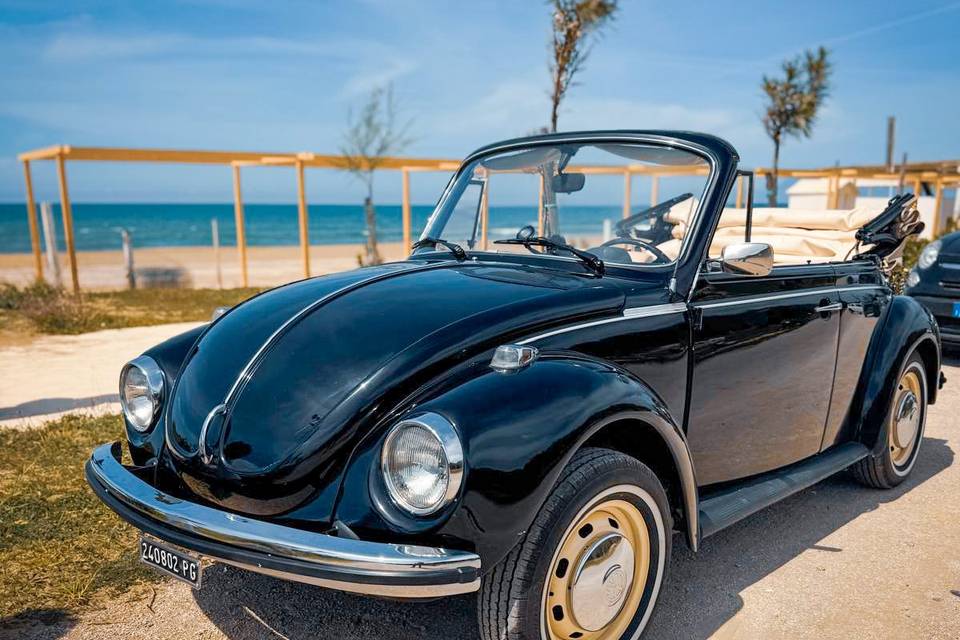 Cabrio