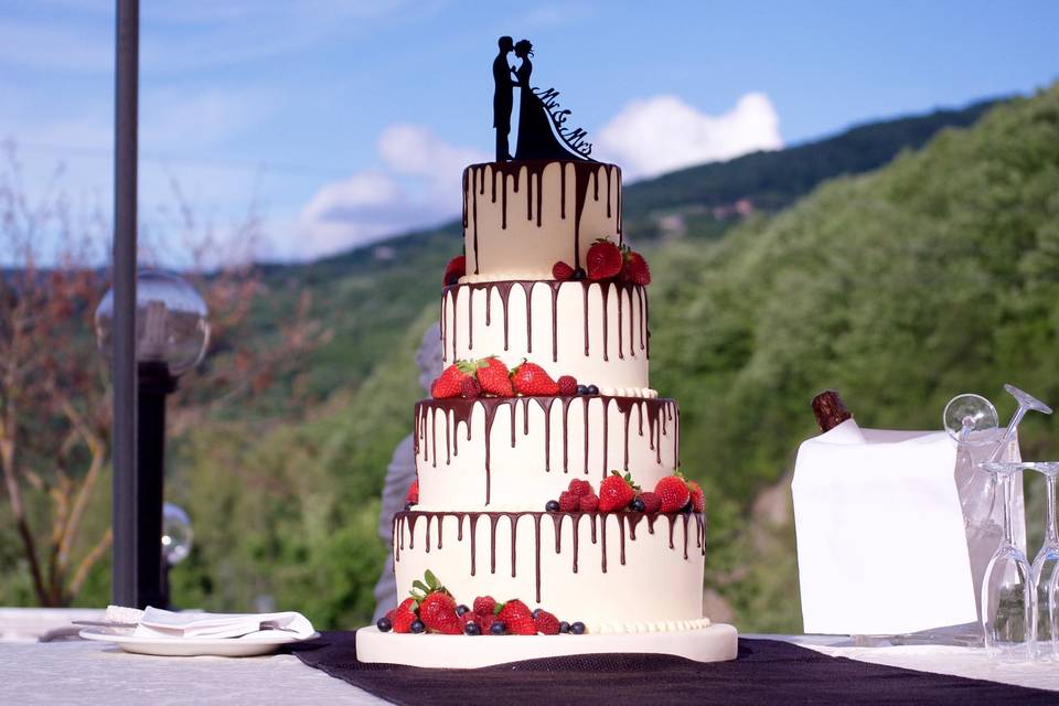 Volley&tennis wedding cake