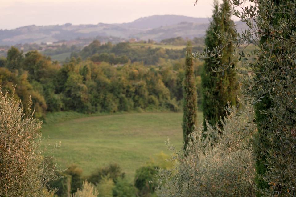 Elisabetta Silingardi Fotografie