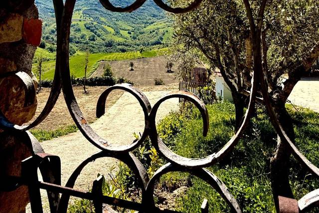 Tenuta Peluso