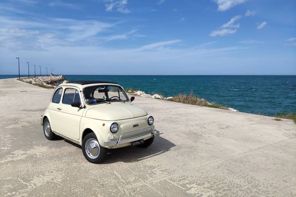 Rent a Fiat 500L