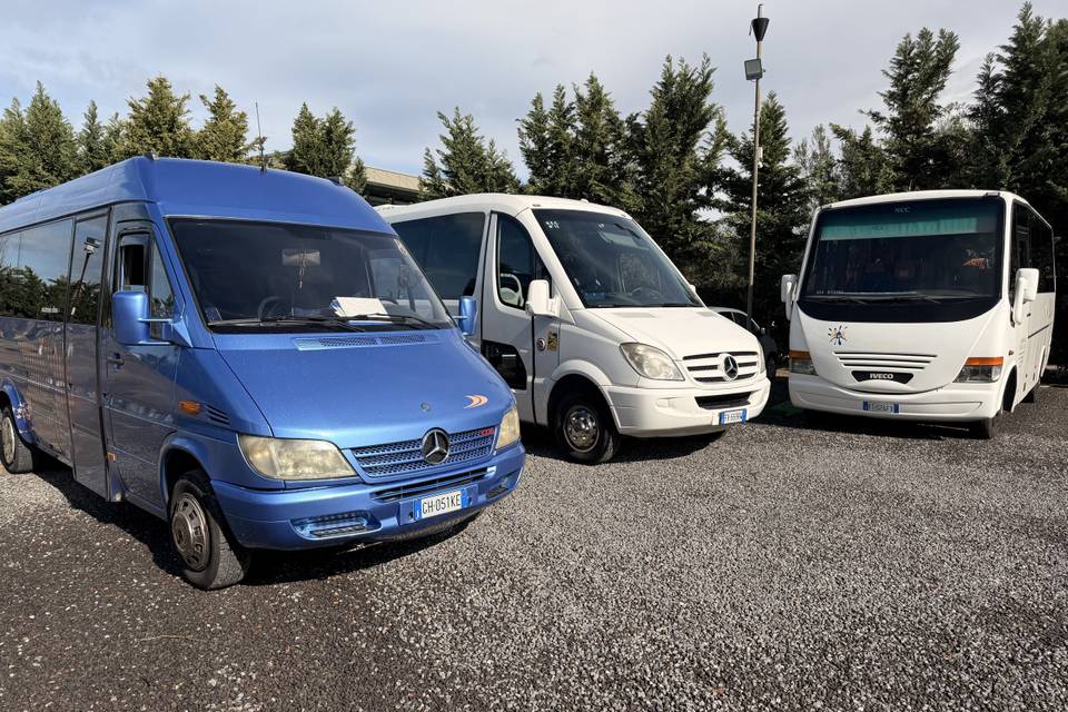 19 e 26 posti