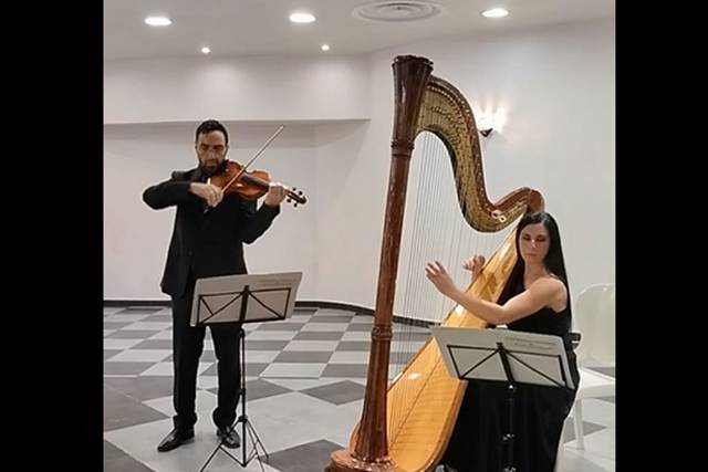 Violino e arpa