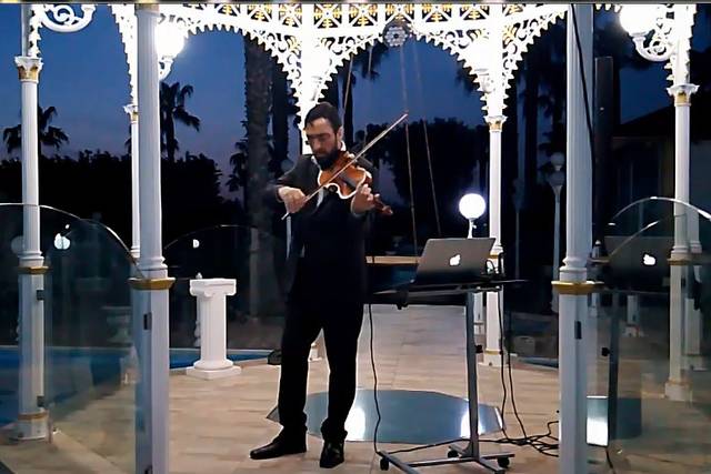 Violino solo al taglio torta