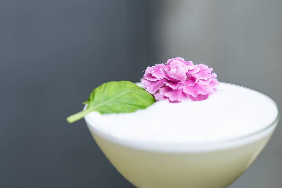 Eleganza