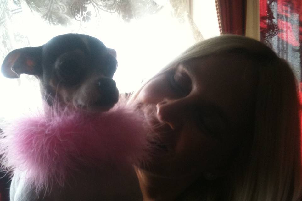 Happyday dogsitter