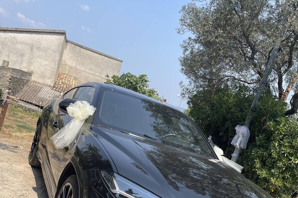 Urus