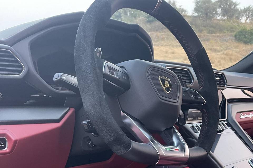 Urus