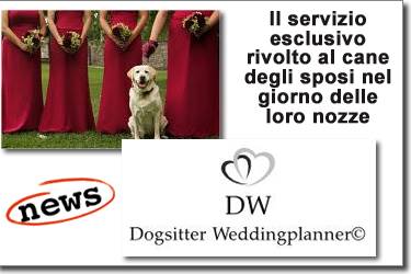 Dogsitter Weddingplanner