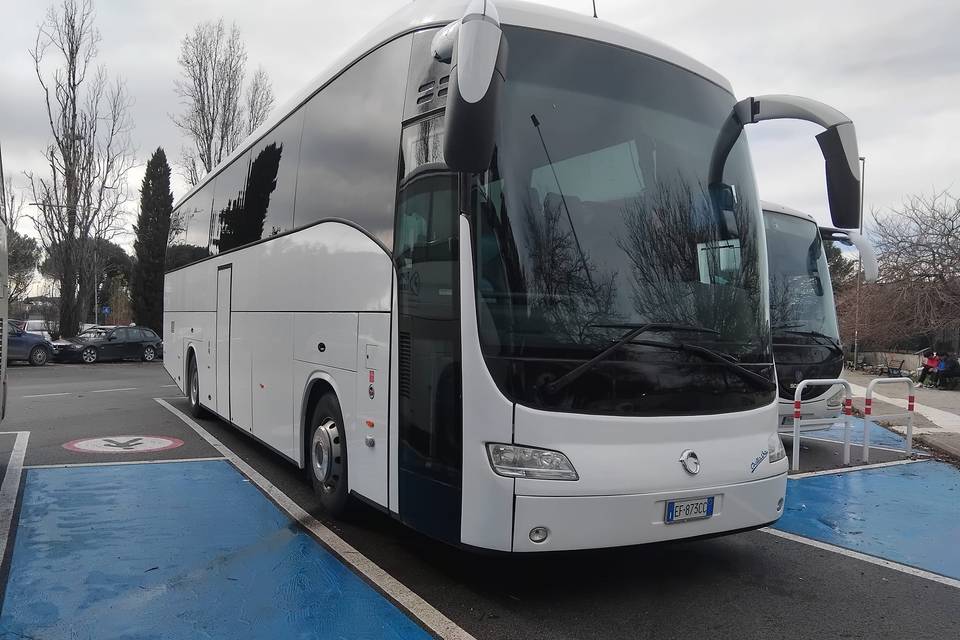 Iveco New Domino 56 posti