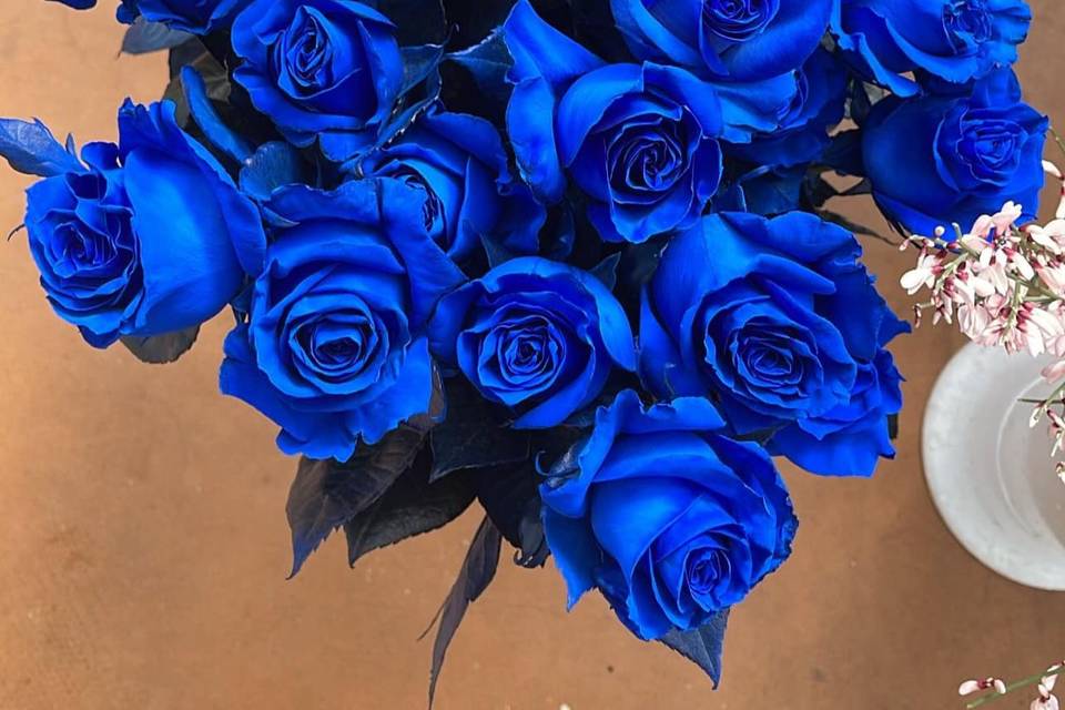 Rose blu