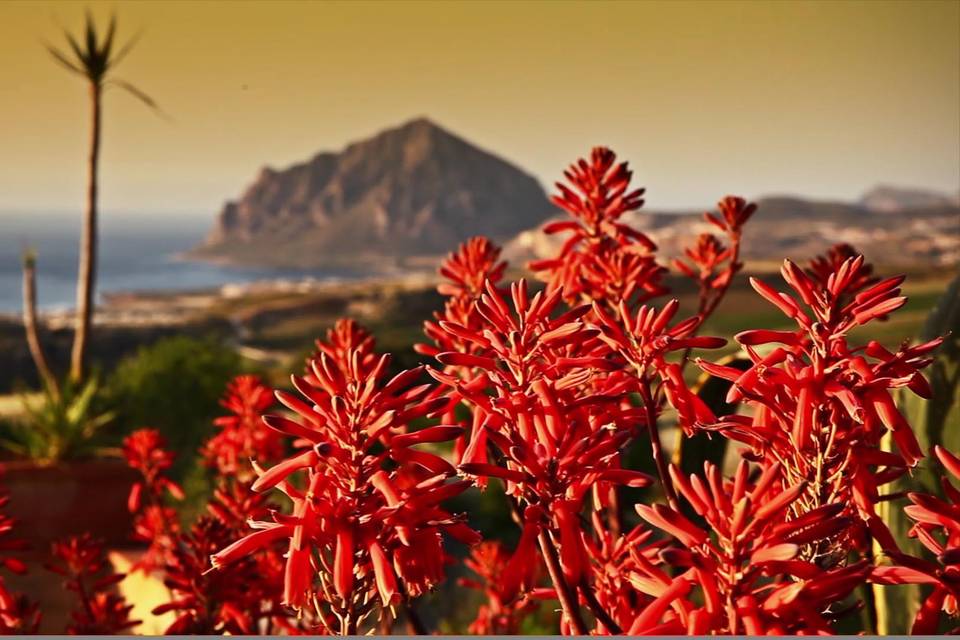 Tramonto su Monte Cofano