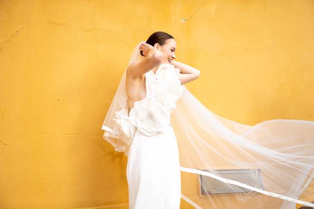 Friderika Wollweber Photography