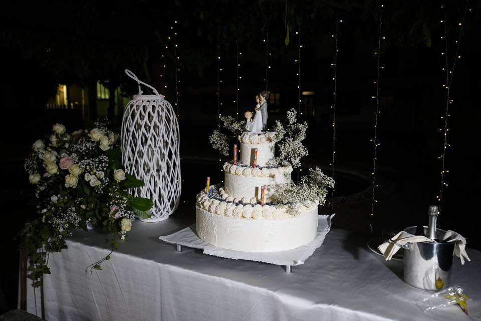 Wedding cake in notturna