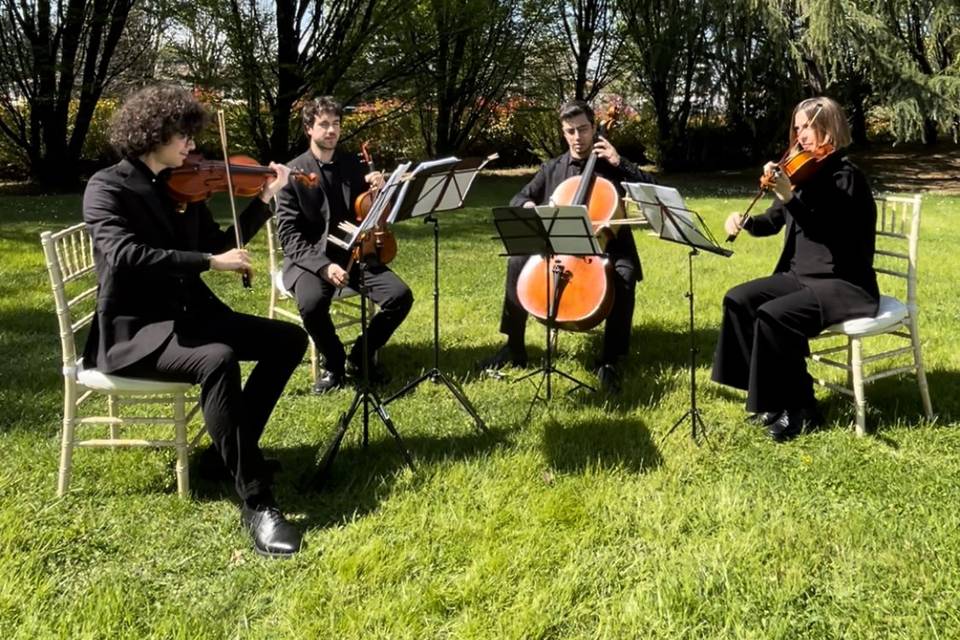 Quartetto d’archi