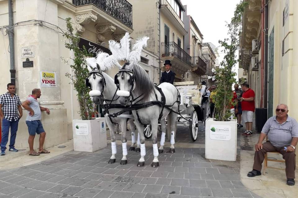 Carrozza con 2 cavalli