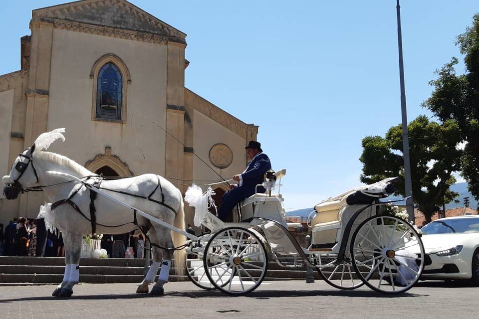 Scuderia Cirino Conti