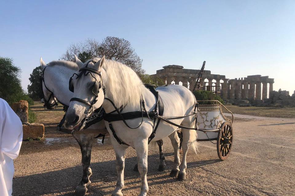 Roman wedding