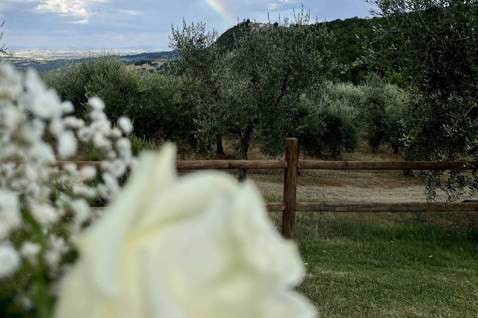 Agriturismo Belagaggio