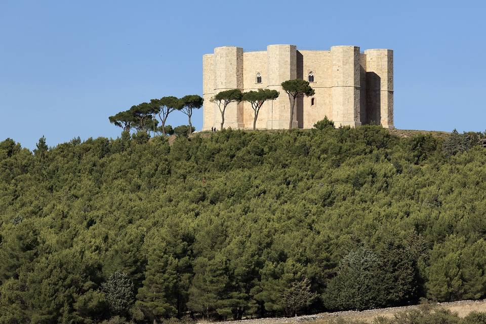 Villa Romanazzi Carducci