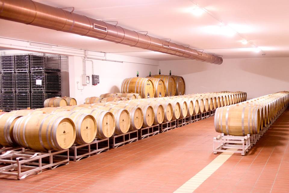 Cantine Lungarotti Montefalco