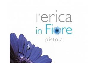 Logo L'Erica in Fiore di Erica Bartolini