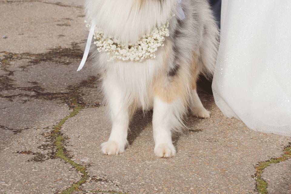 Matrimonio in bianco & verde