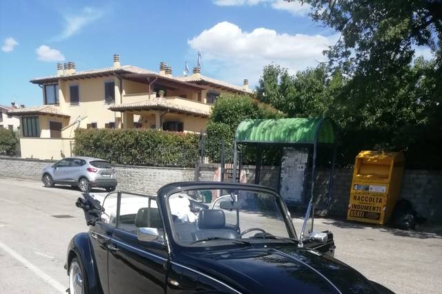 Vista laterale