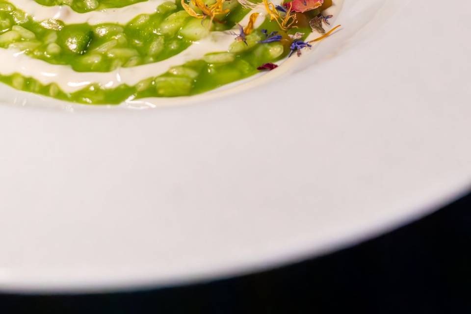 Risotto Novità 2026