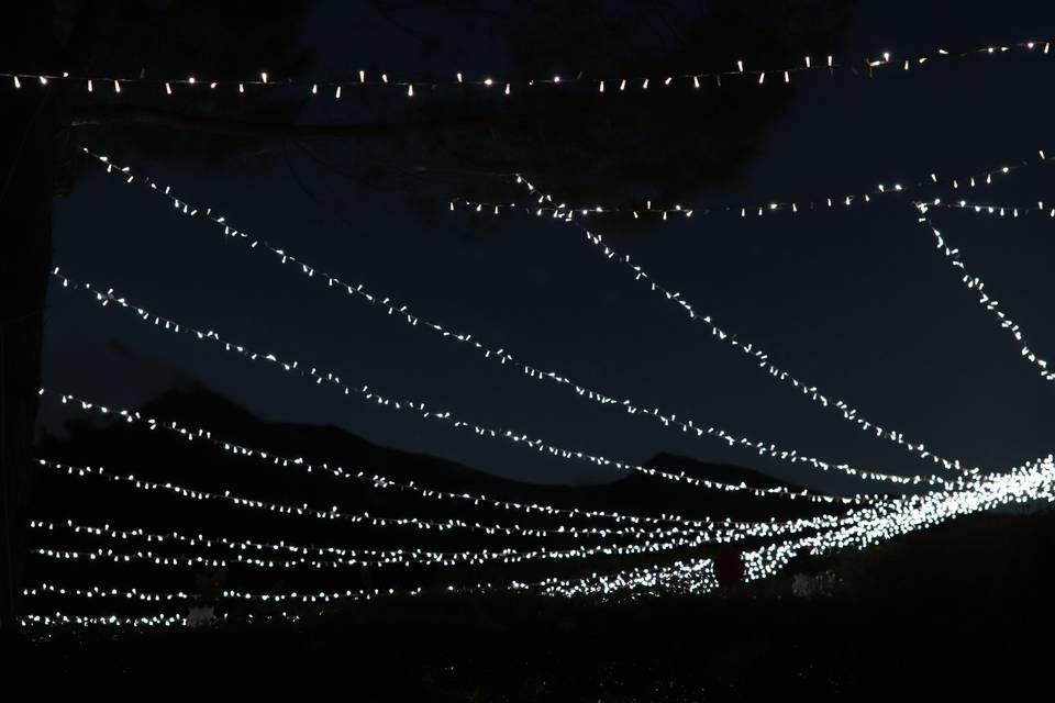 Cielo Stellato