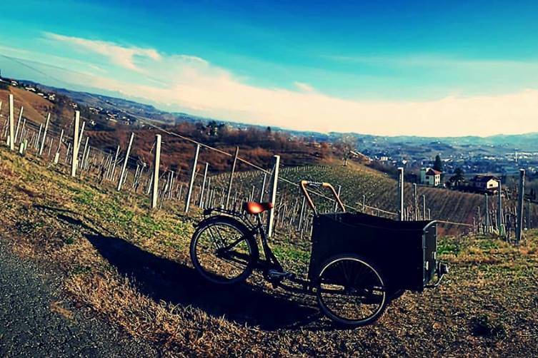 Pedalina - cargo bike