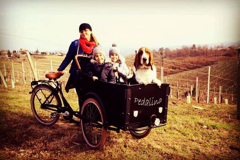 Pedalina - cargo bike