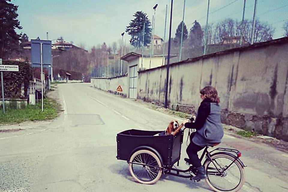 Pedalina - cargo bike