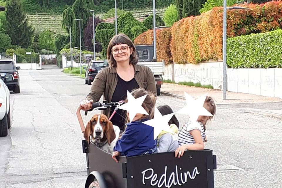 Pedalina - cargo bike