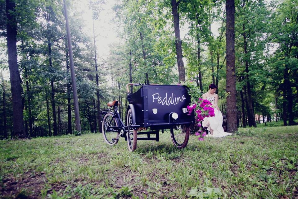 Pedalina - cargo bike