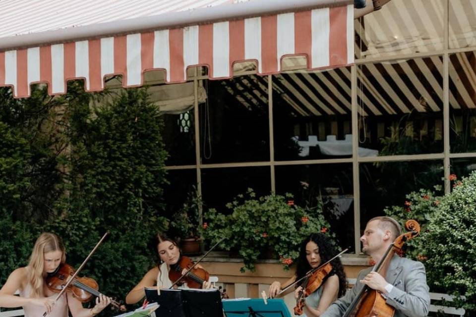 Quartetto d'archi Le Corde del Mondo