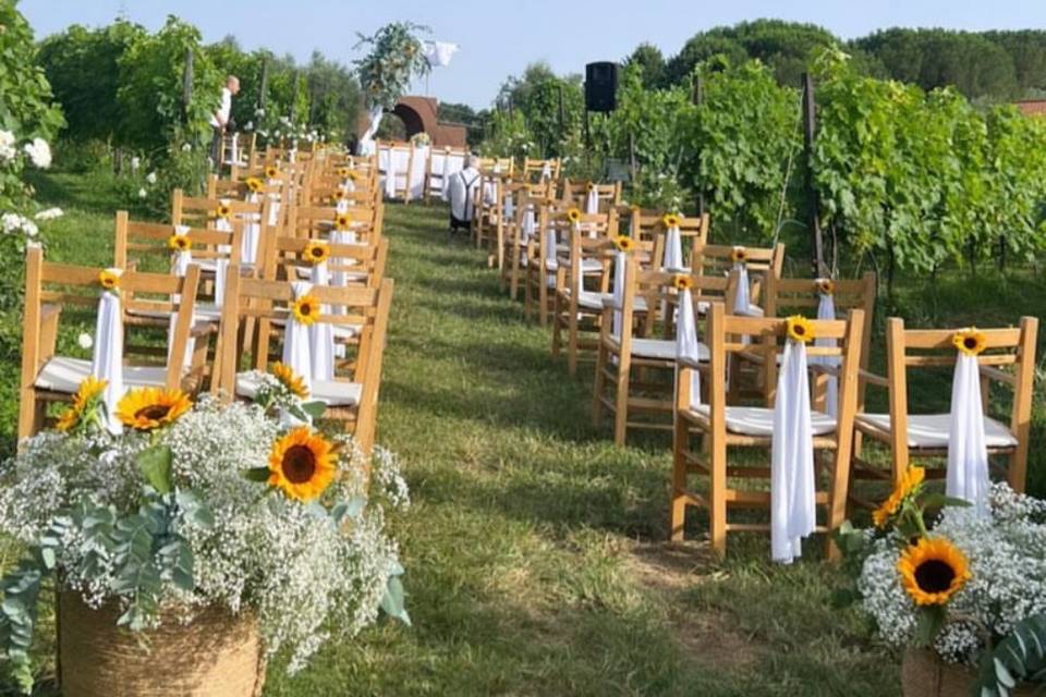 Matrimonio in vigna