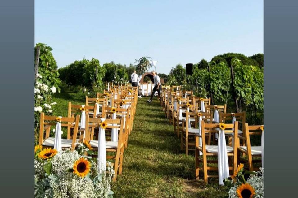 Matrimonio in vigna